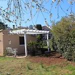 Vanesa