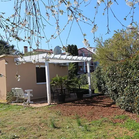 Apartments Vanesa